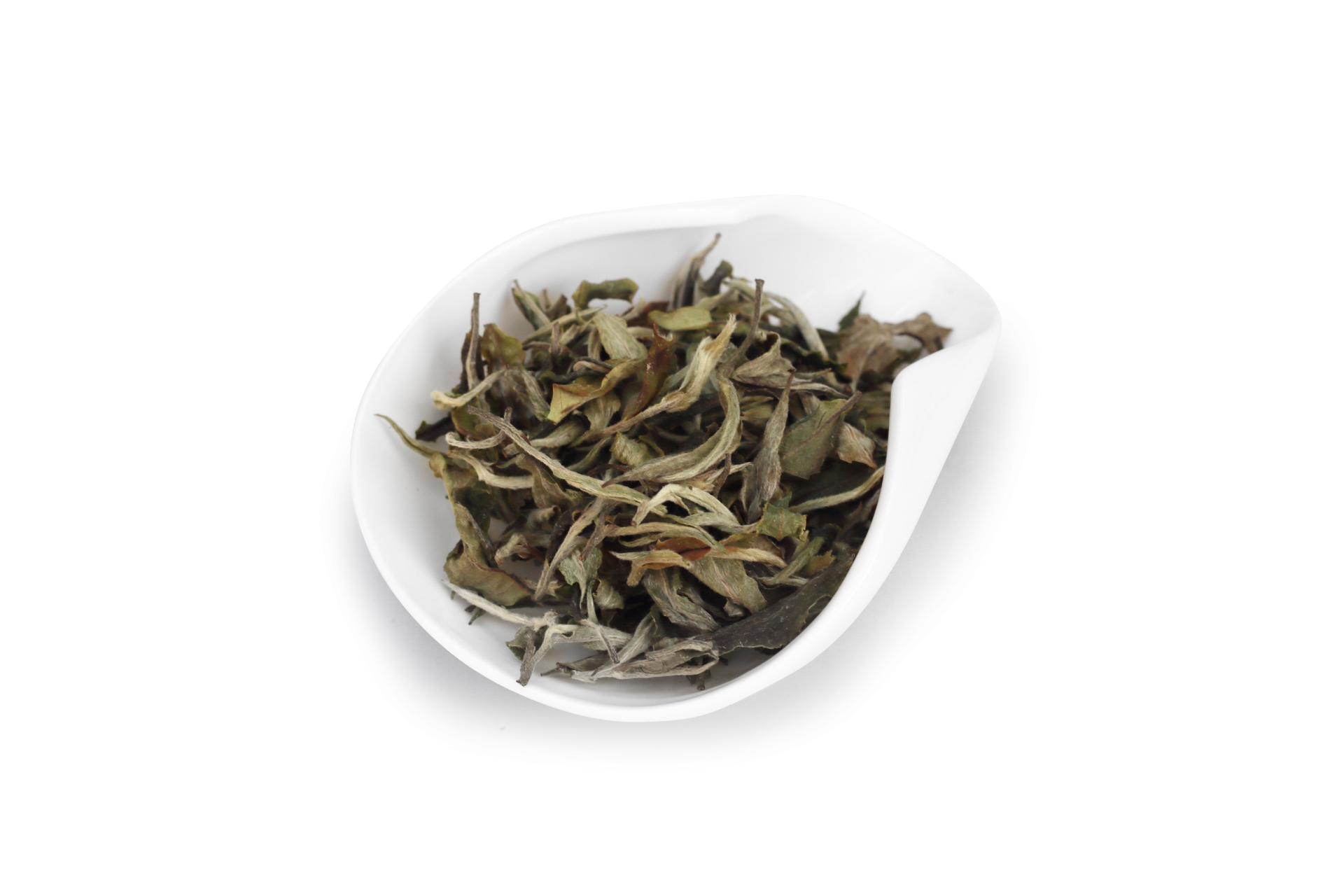 Darjeeling White Peony darjeeling white peony